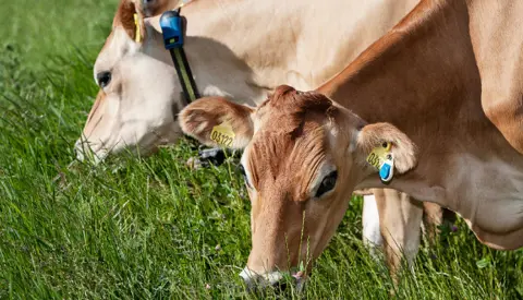 Untitled Design (37)