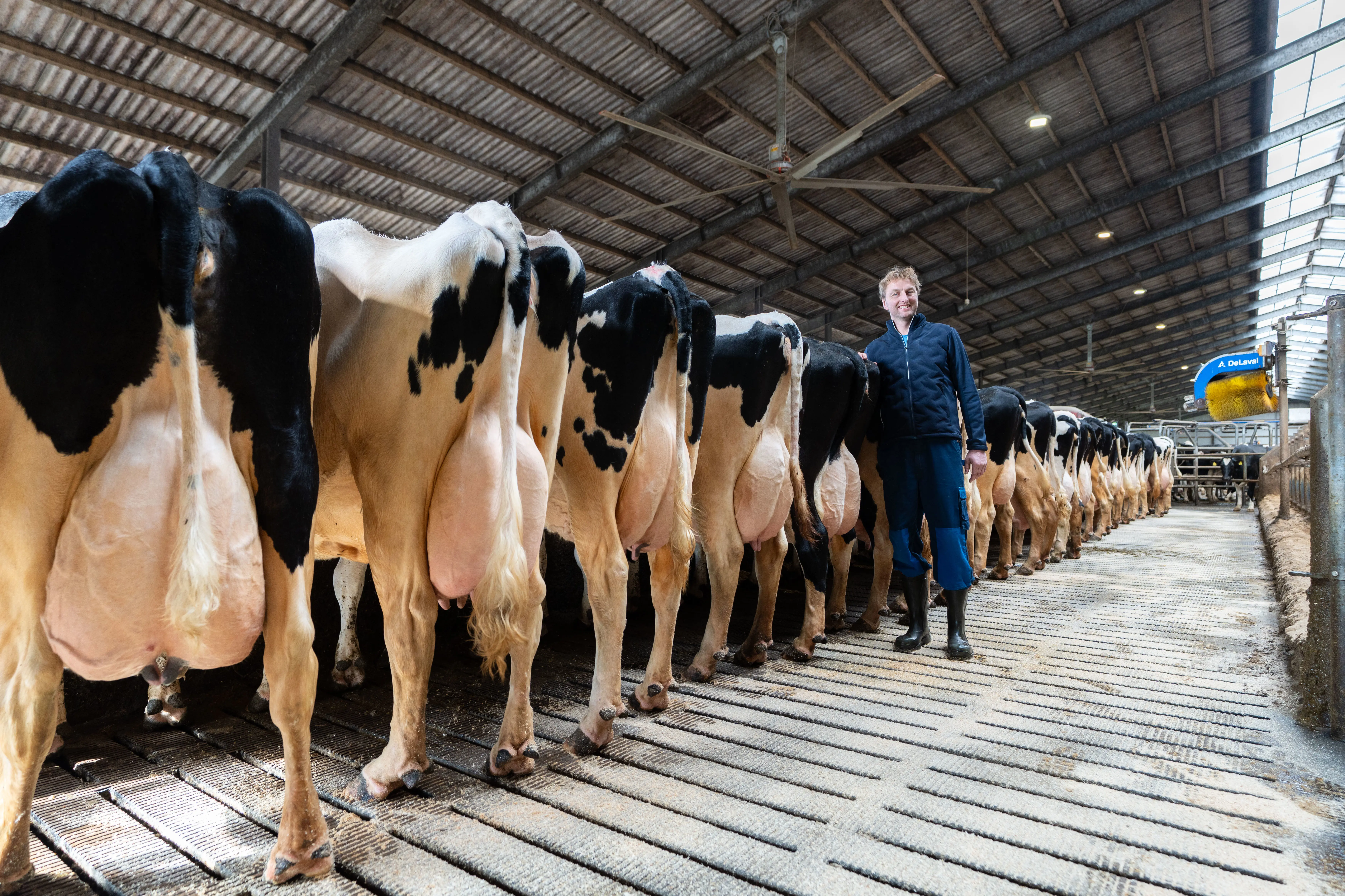 Mads Stokholm Pedersen