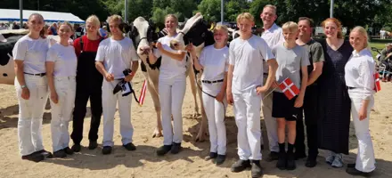 Hele Teamet Bag Skuets Bedste Ko