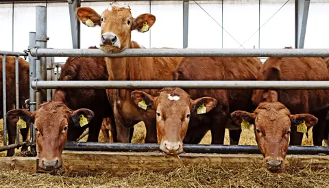 Simherd Dscf2543 Srgb Web