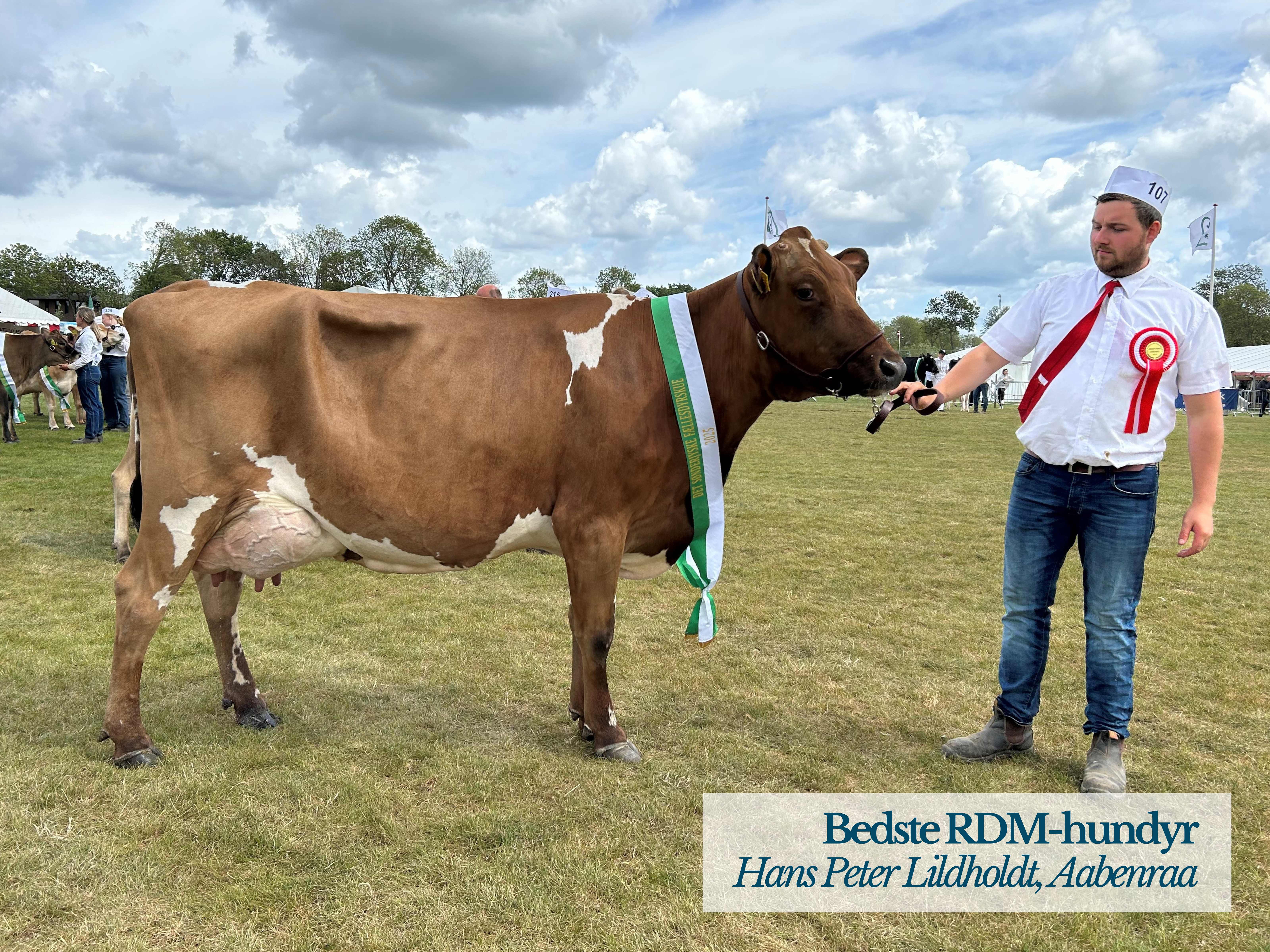Bedste RDM Hundyr, Hans Peter Lildholdt, Aabenraa