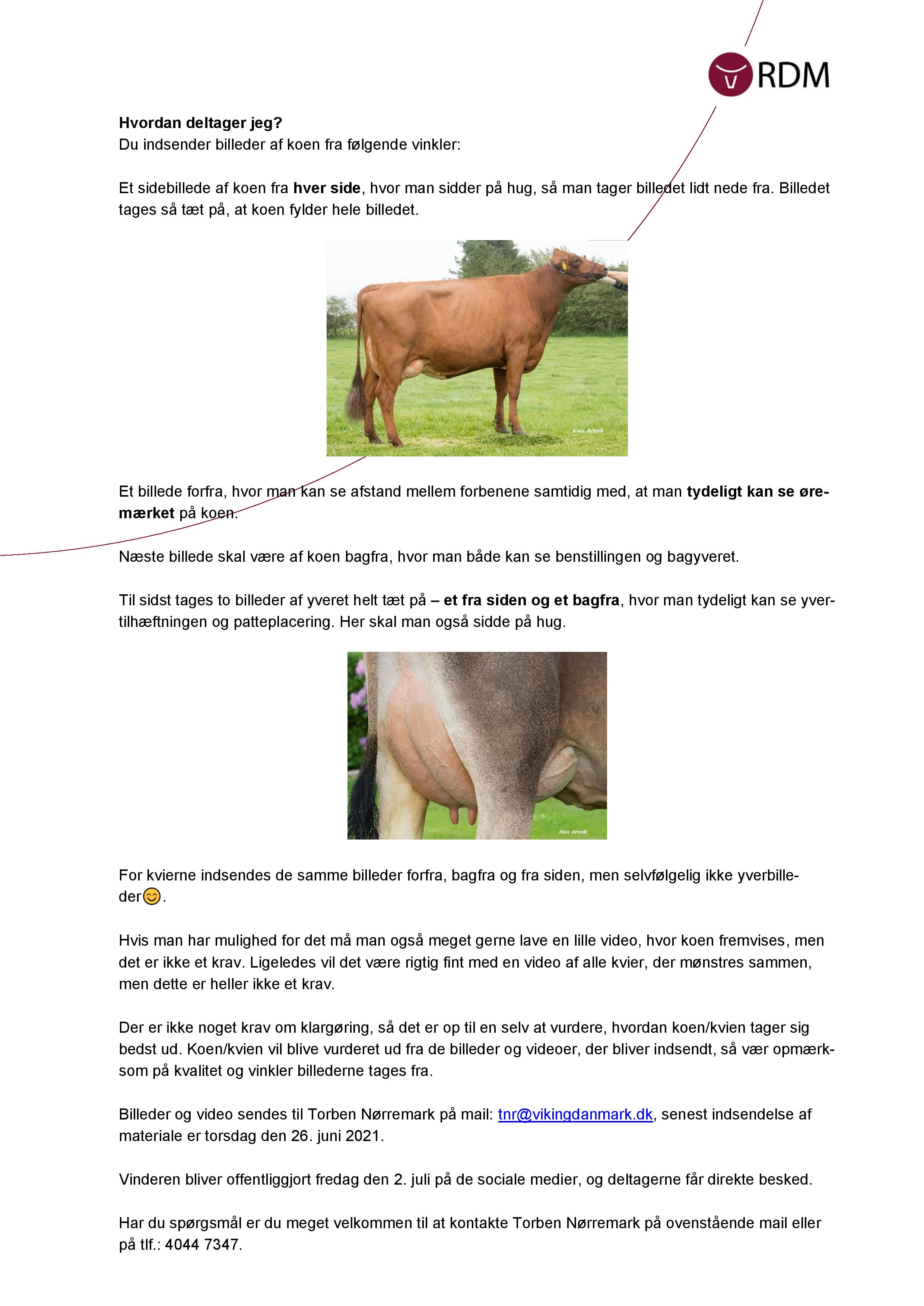 Virtuelt Dyrskue 2021 Page 002