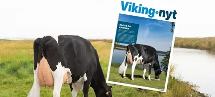 Vikingnyt Maj 2021