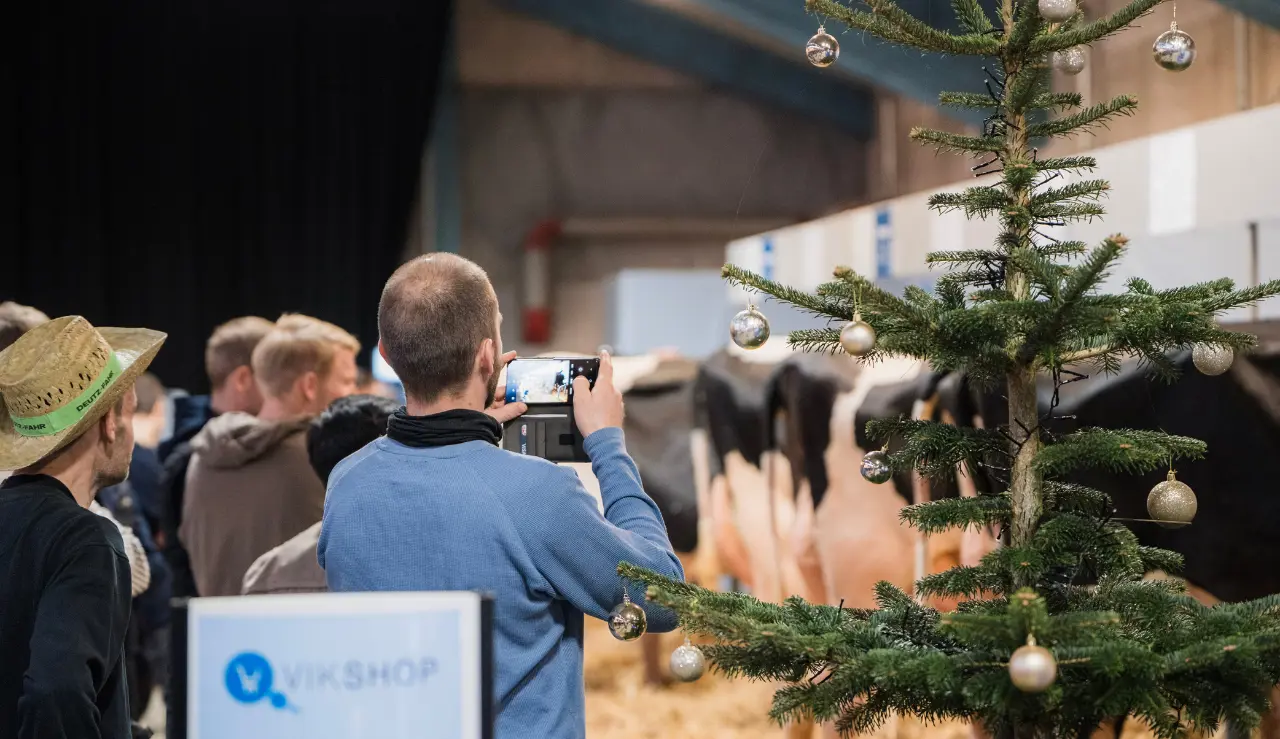 Der Tages Billeder Af De Udvalgte Dyr Til Vikingdanmark Standen