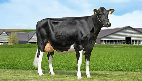 26089 6931 Vh Manfolk1 Stemning Srgb Web