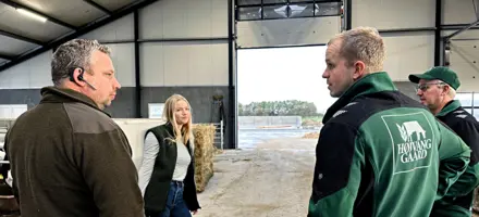 Ejertrioen Som Har Hver Deres Ansvarsområde