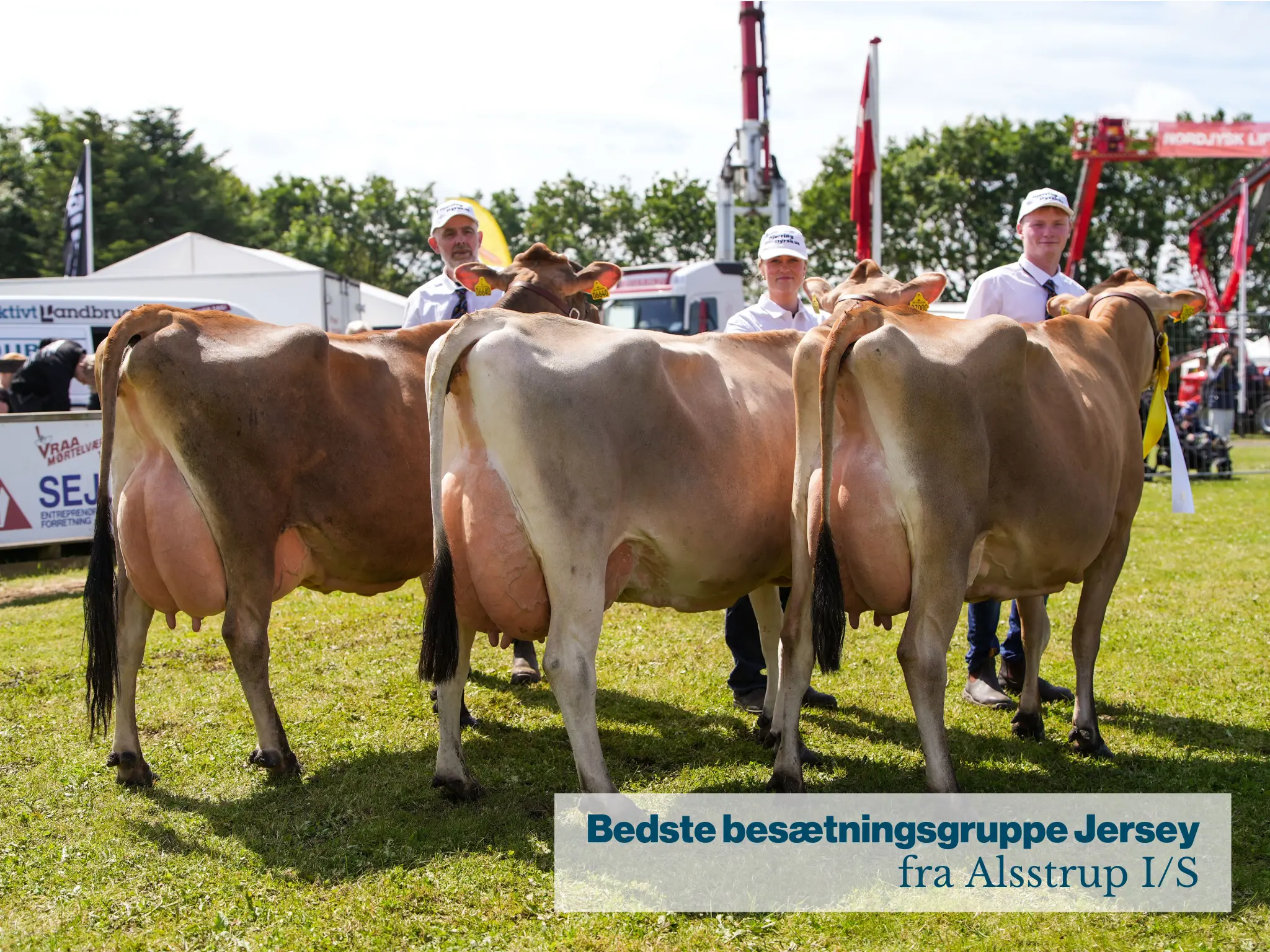 Bedste Besætningsgruppe Jersey