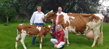 1882 DRH Taro X DRH Rolig