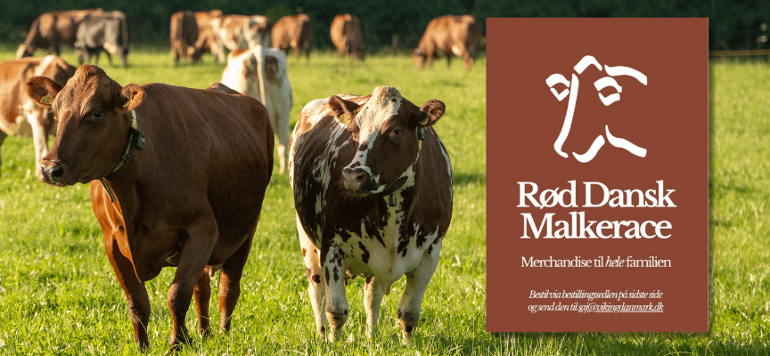 Forsiden Af RDM Merchandise Katalog Med RDM Køer