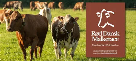 Forsiden Af RDM Merchandise Katalog Med RDM Køer