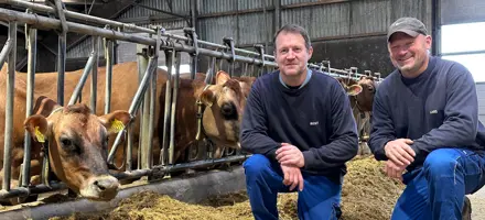 Bent Olesen, der driver Alstrup I/S sammen med sin bror Lars Olesen med koen 6778 (VJ Klov)