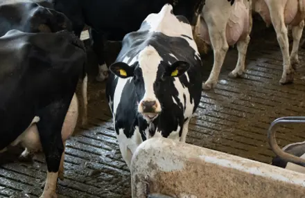 Vi Hjælper Med At Udbedre De Punkter, Du Ønsker, Så Din Elinstallation Bliver Sikker Og Lever Op Til Gældende Krav