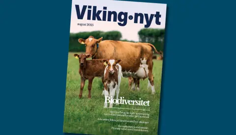 Forsiden Af Vikingnyt August