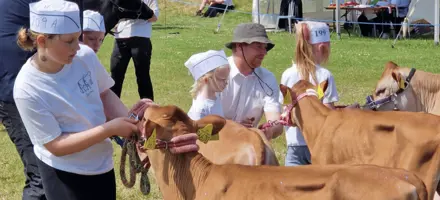 Derby Kvier, Thy Mors Dyrskue