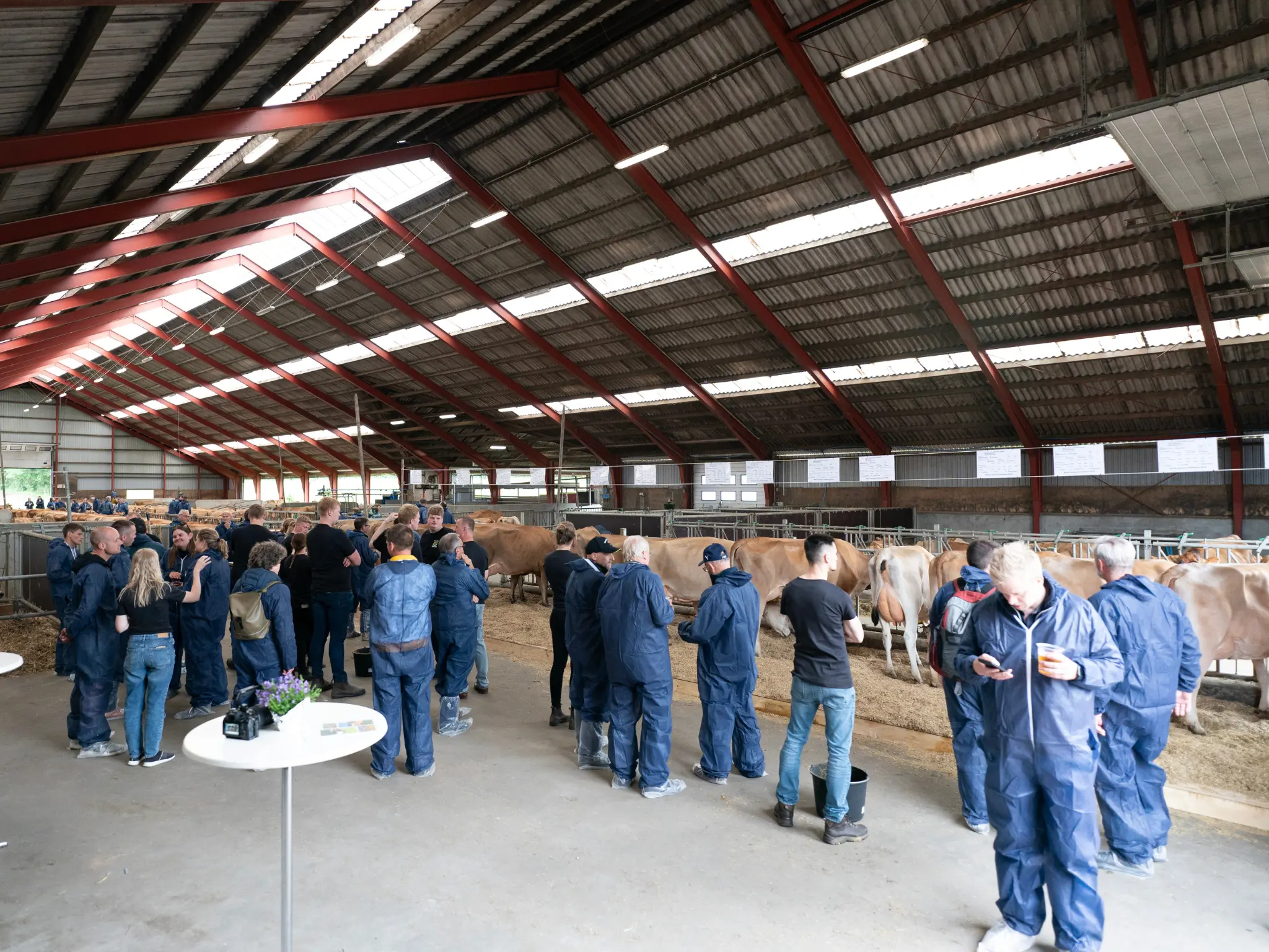 Jersey Verdenskongres 16