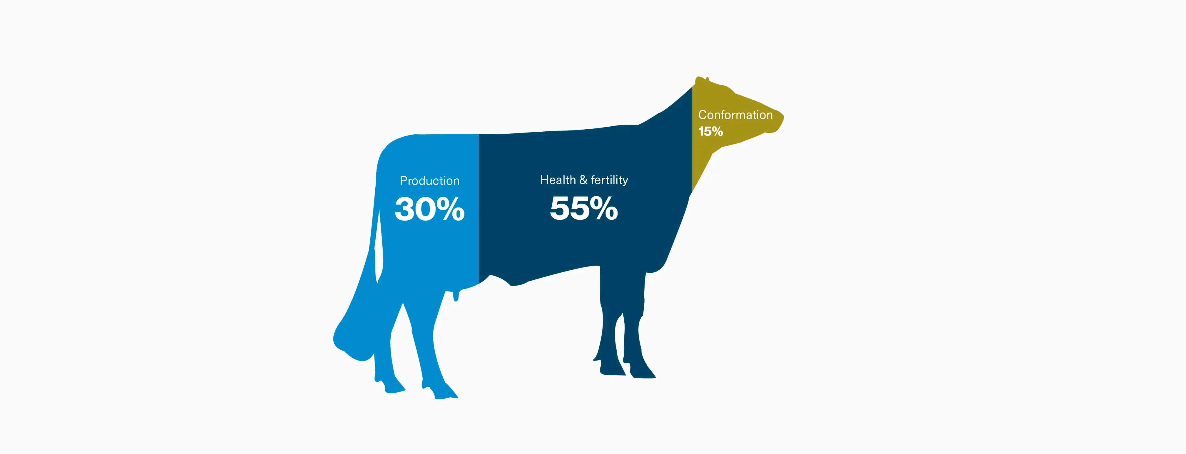 NTM Cow Web (1)