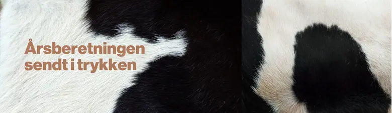 Aarsberetning Sendt I Trykken