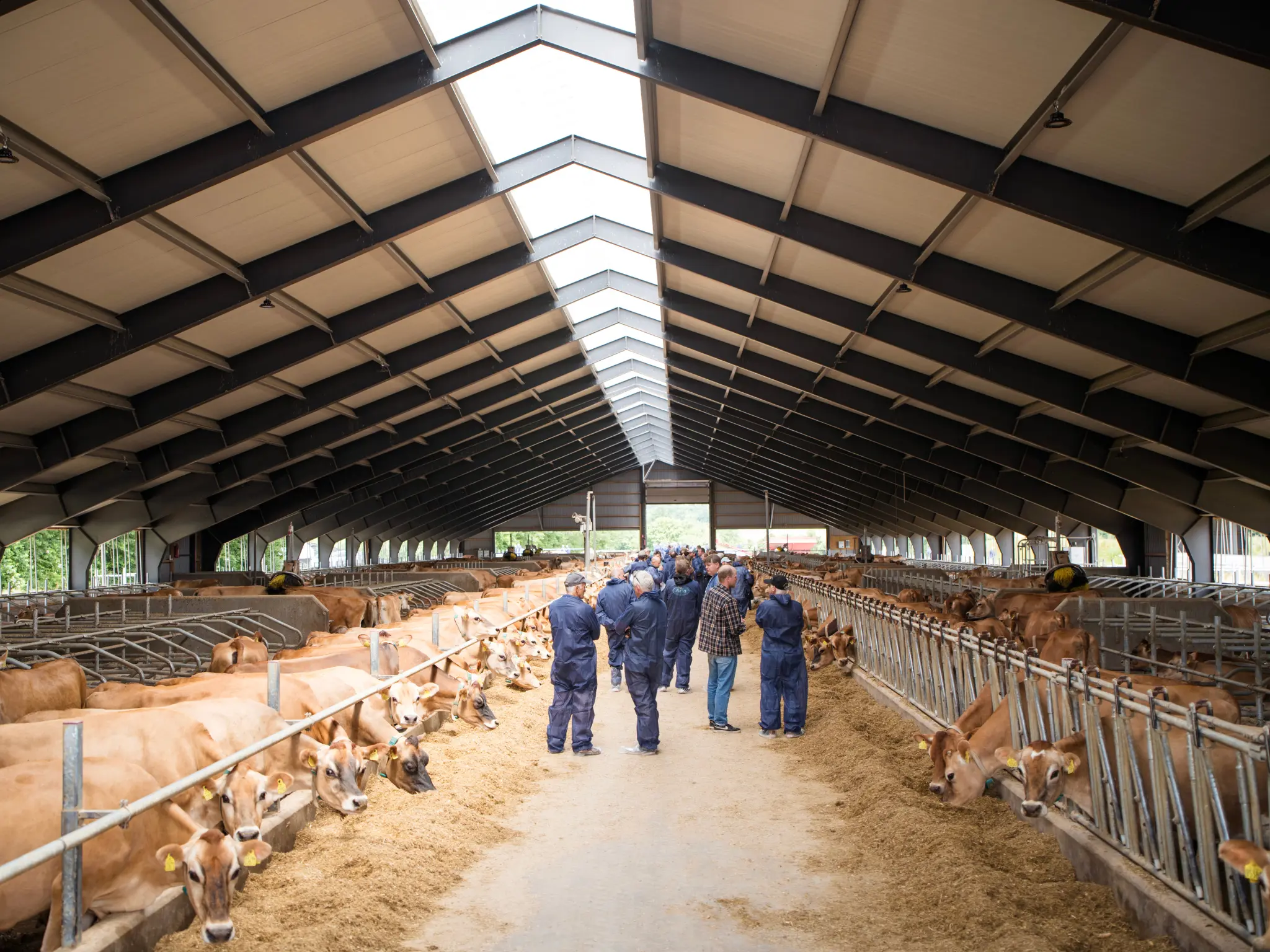 Jersey Verdenskongres 11