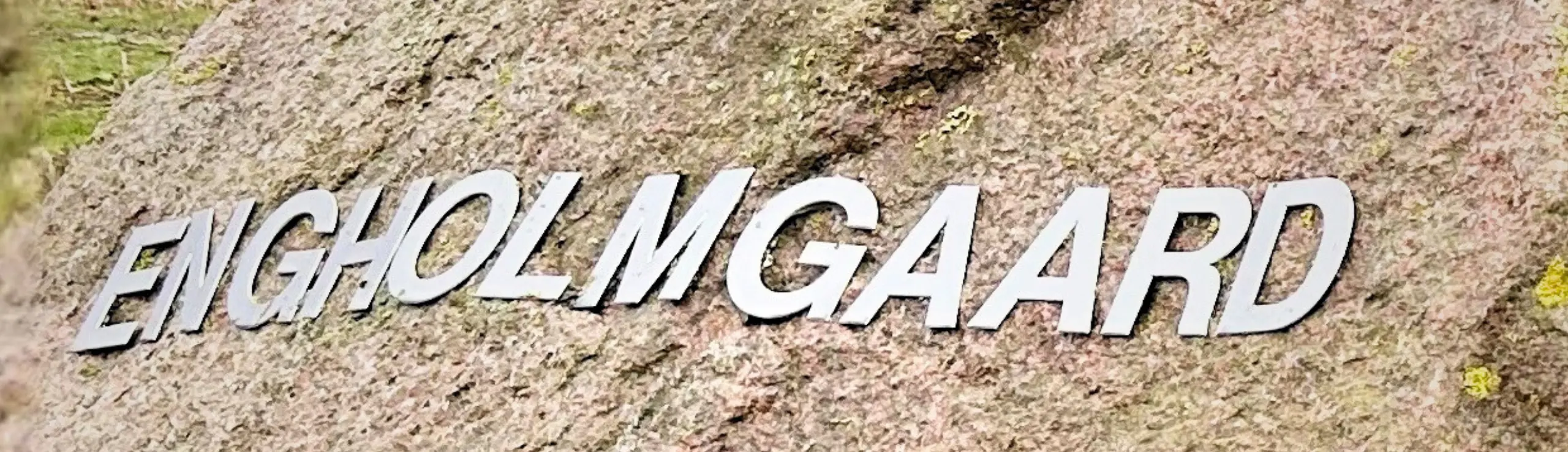 10.000 Kg F+P Hos Engholmgaard (1)