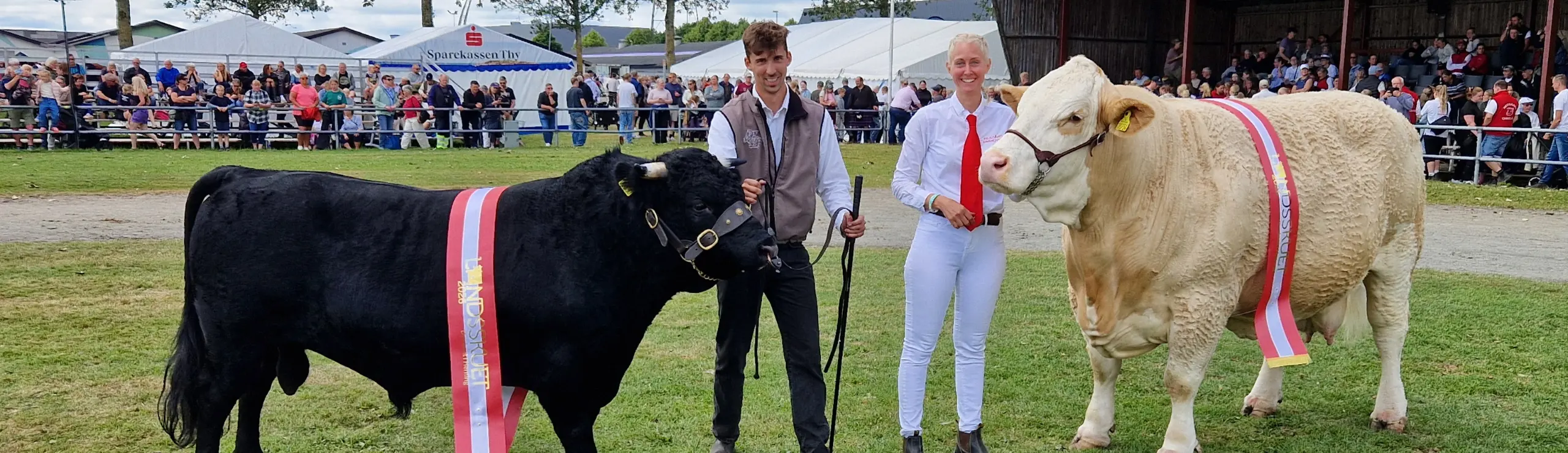 Interbreed Vindere Handyr Og Hundyr På Landskuet 2026