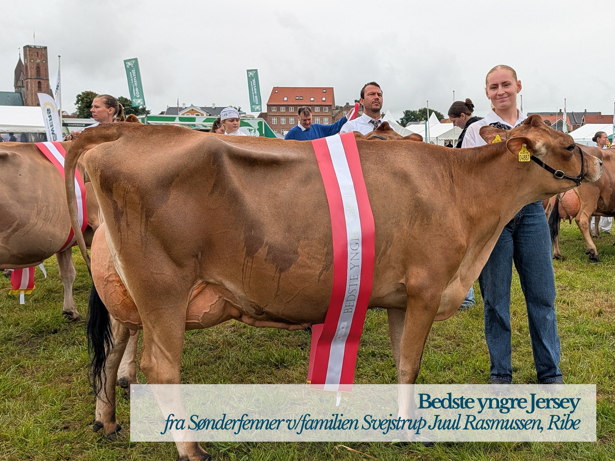 Bedste Yngre Jersey Fra Sønderfenner Ved Familien Svejstrup Juul Rasmussen, Ribe
