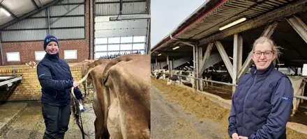 Praktikanter I Avlsrådgivningen