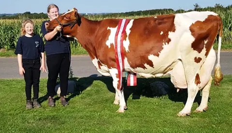 Jeruts Mor Palle 4 Til Hjemmeside