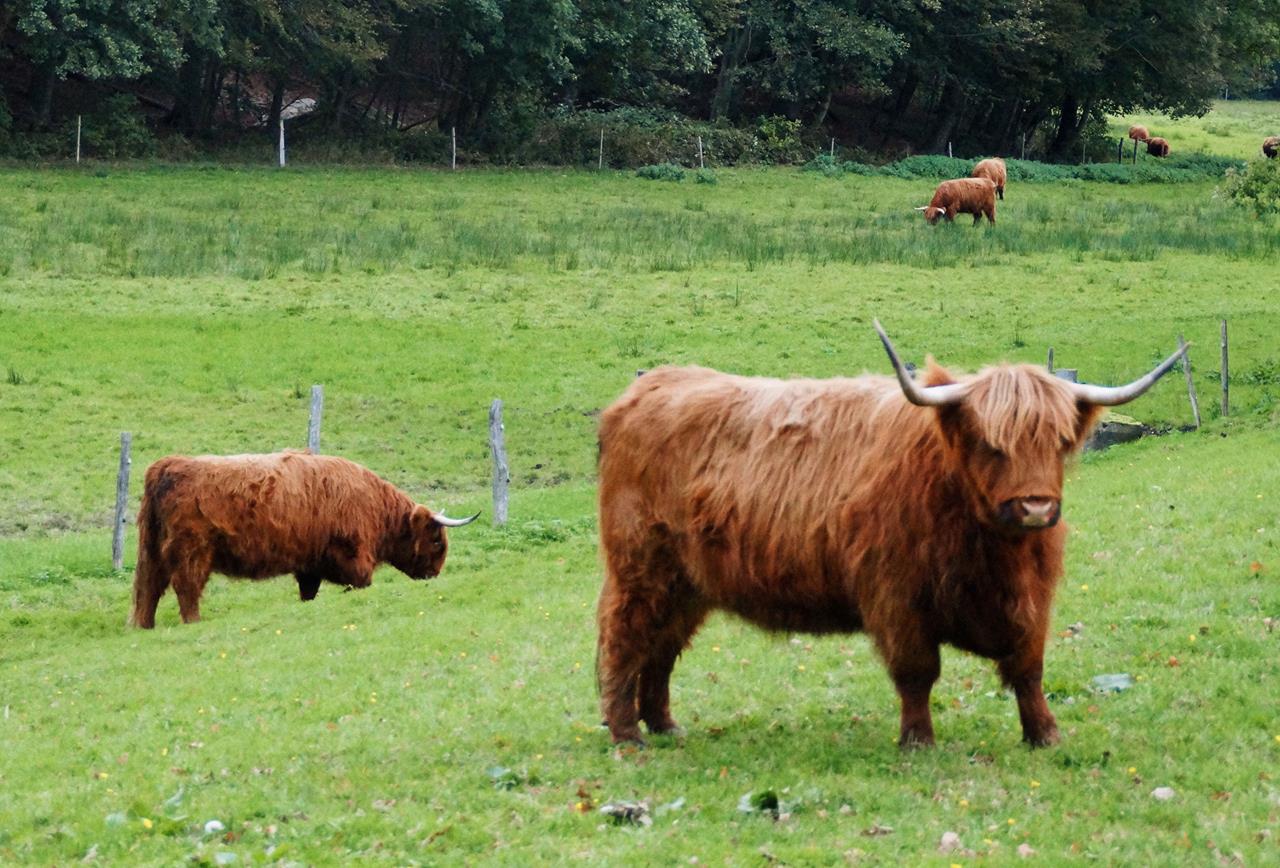 Dsc02343 Srgb Web (1)