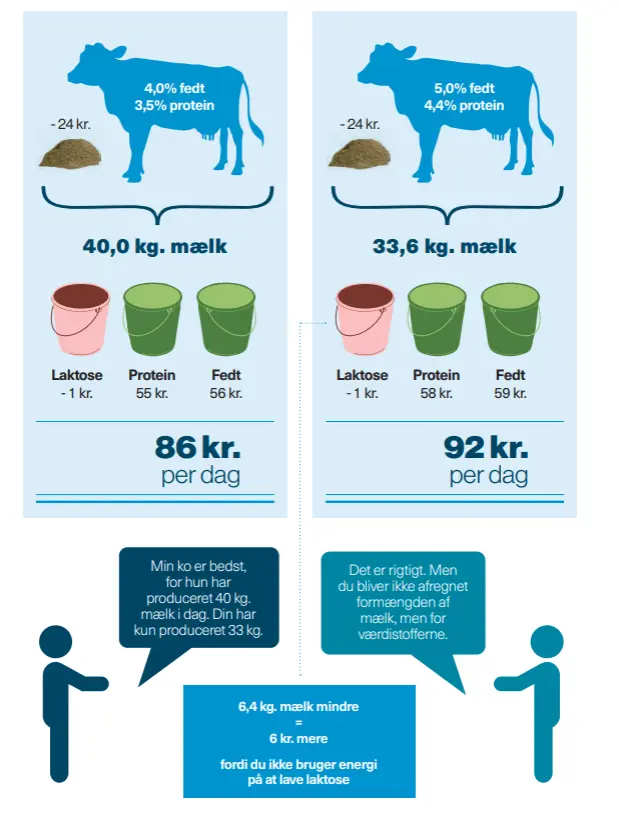Fedt Og Protein Tæller