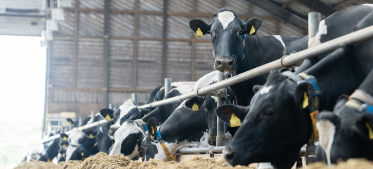 Entry Fremtidens NTM