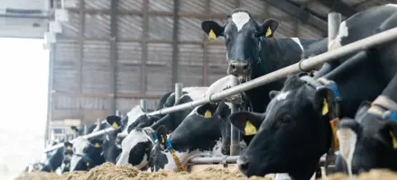 Entry Fremtidens NTM