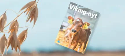 Vikingnyt Aug. 2023
