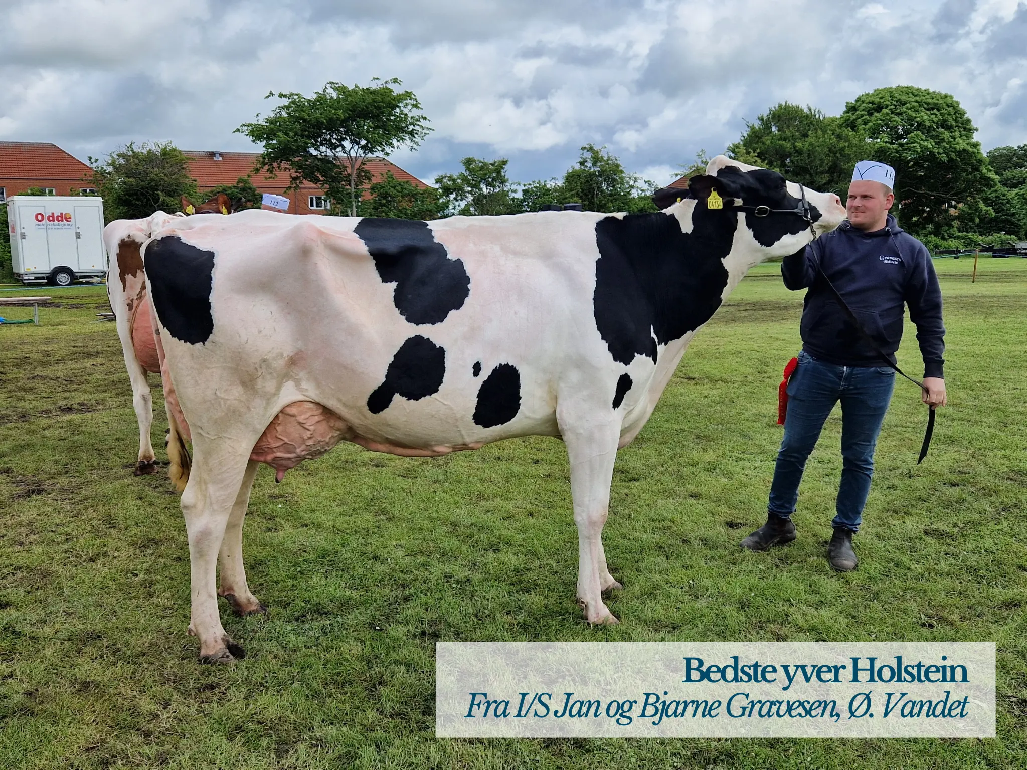 Bedste Yver Holstein På Thy Mors Dyrskue 2026