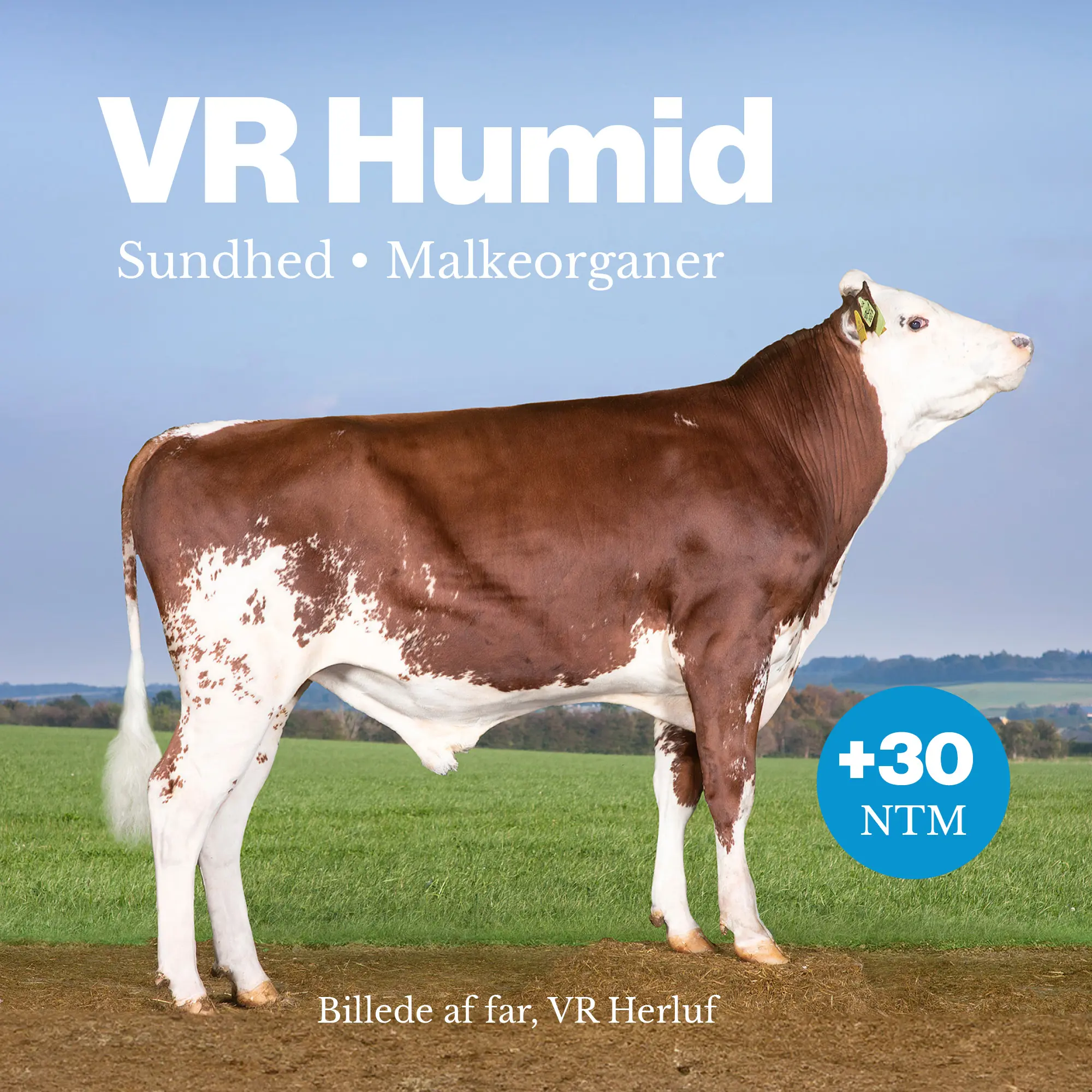 VR Humid
